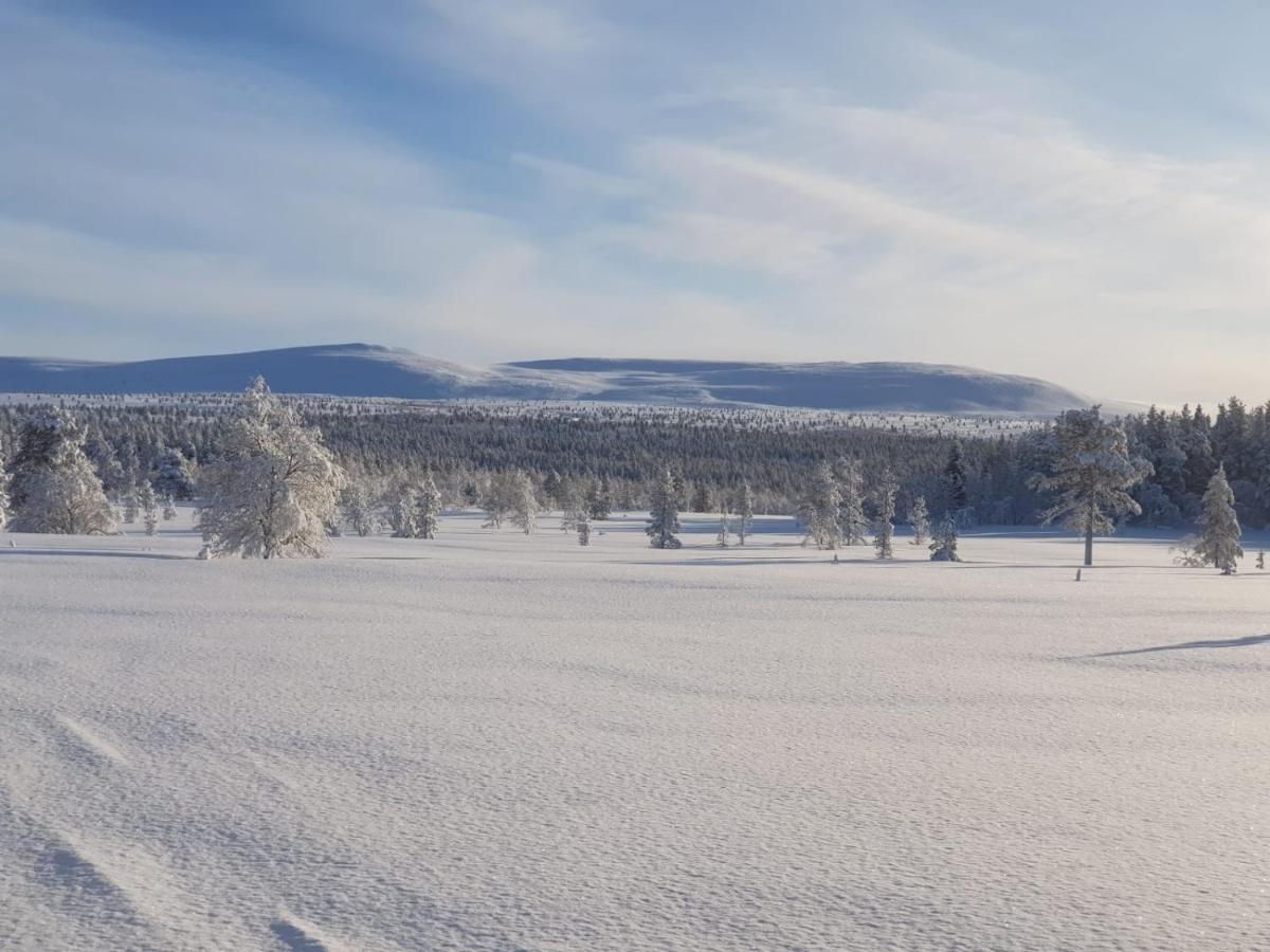 Arctic Lodge Hetan Kota Enontekiö Kültér fotó